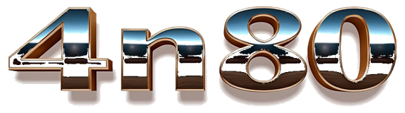 4n80 logo